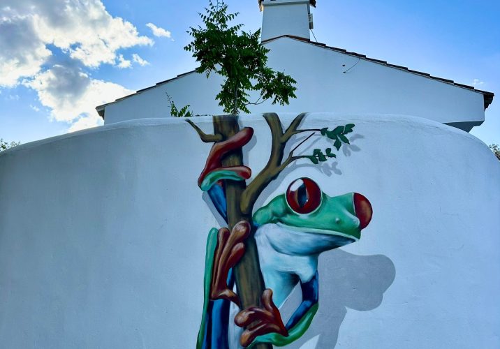 WhatsApp Image 2024-05-28 at 11.53.11