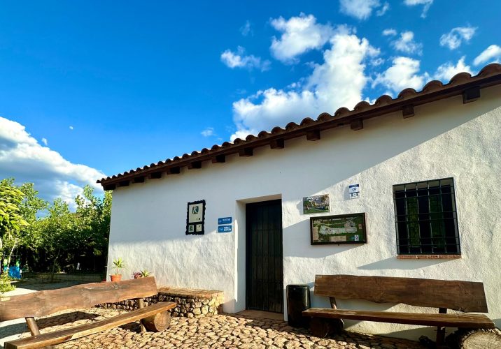 WhatsApp Image 2024-05-28 at 11.53.11(5)