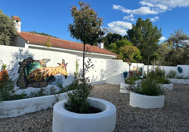 WhatsApp Image 2024-05-28 at 11.57.26