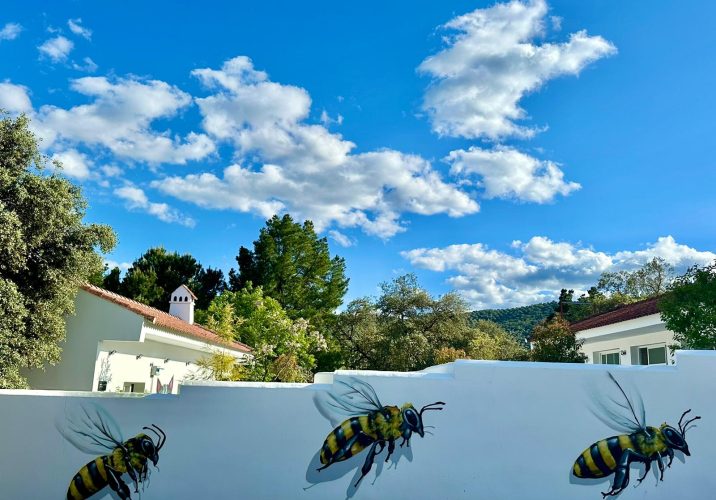 WhatsApp Image 2024-05-28 at 11.57.26(1)